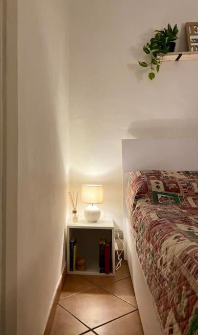 “A Ca Di Amelia” Apartment Savona Exterior photo